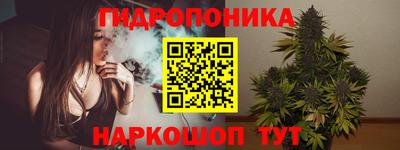 шишки Апшеронск